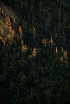 Свадебная галерея